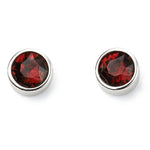 Silver Crystal Birthstone Earrings